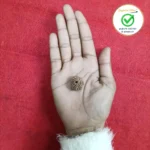 8 Face (Eight Mukhi Rudraksha) - Image 2