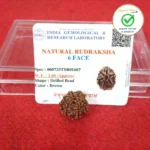 6 Face (Six Mukhi Rudraksha) - Image 3