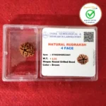 4 Face (Four Mukhi Rudraksha) - Image 4