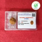 2 Face (Two Mukhi Rudraksha) - Image 4