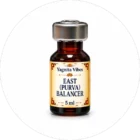 Yagnita Vibes Vastu Oils